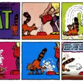 Catfood