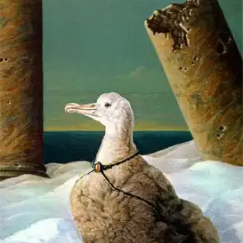 Greenpeace