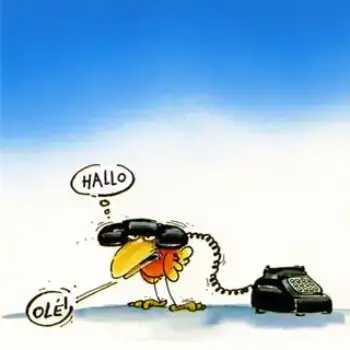 Carte postale de Blachon