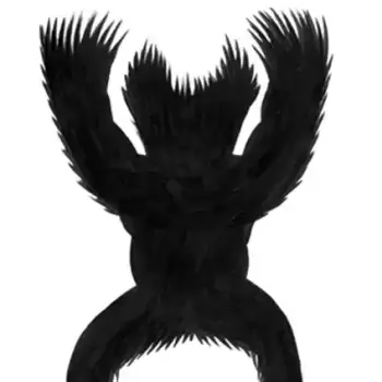 GestrocoClub n° 11