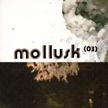 Mollusk n° 3
