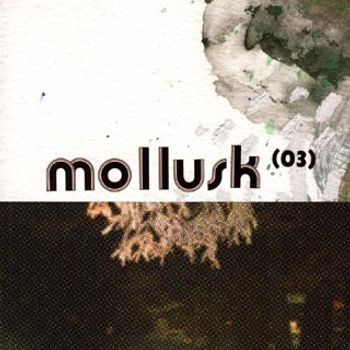 Mollusk n° 3