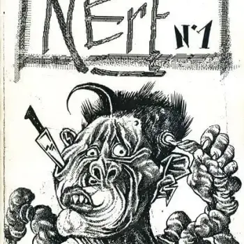Nerf n° 1