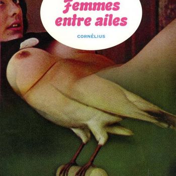 Femmes Entre Ailes