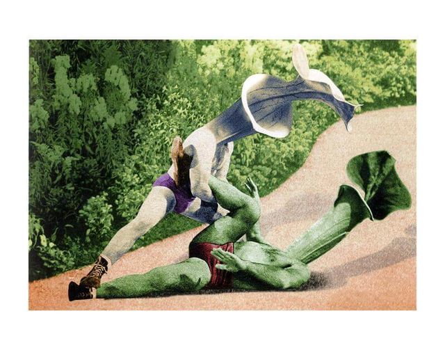 Photomontage de Jean Lecointre
