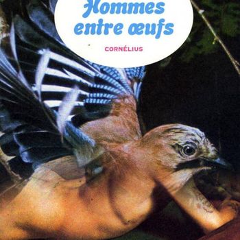 Hommes Entre Œufs