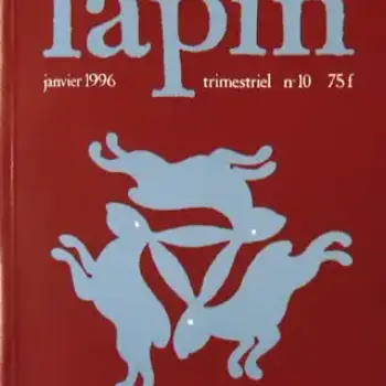 Lapin n° 10