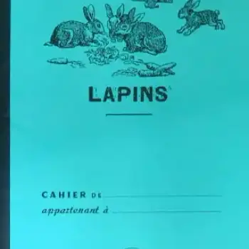 Lapins