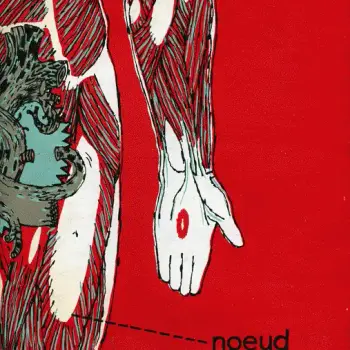 Nœud