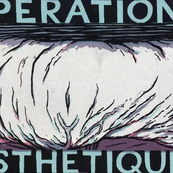 Opérations esthétiques