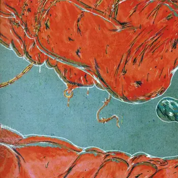 Sluts