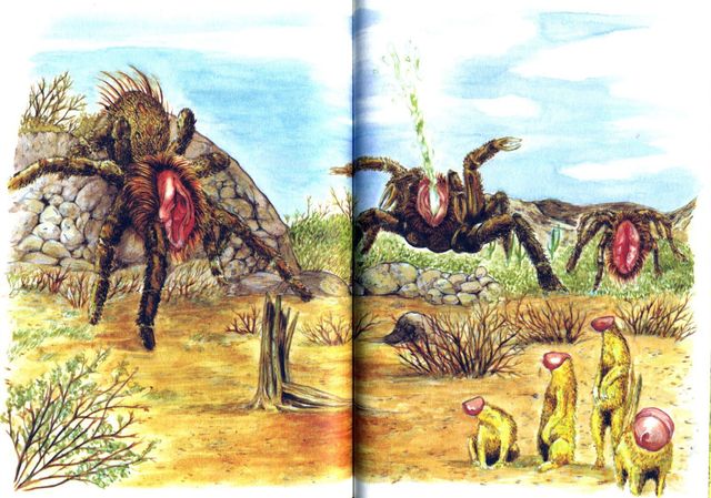 Double page extraite de Wild sex de David Guedin, éd. Le Dernier Cri 2025